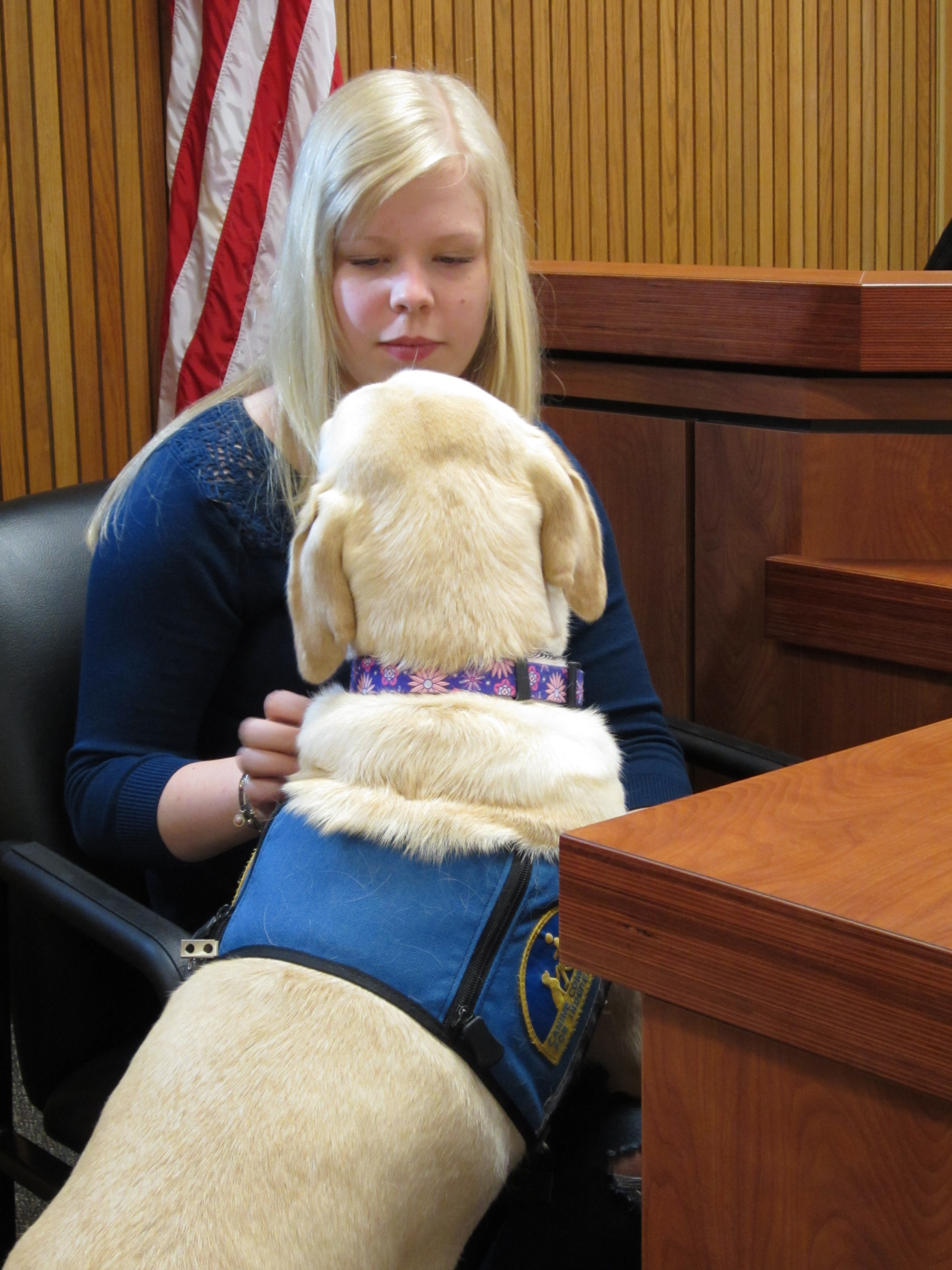 Understanding Courthouse Dogs: Support in the Justice System ...