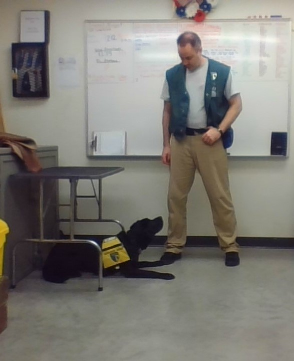 An inmate handler is working with his black labrador on the cue "under." The dog is lying under a table.