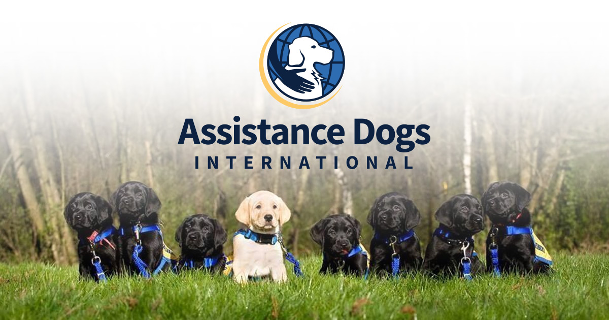 Service dog hot sale organizations near me