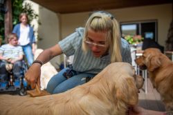 A woman is brushing a dog.