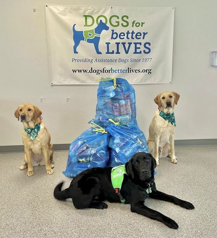 Three dogs (two yellow labs and one black lab) are sitting and lying around three bags full of recyclables. A 