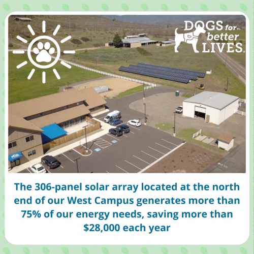 An image of the solar array on Dogs for Better Lives campus.