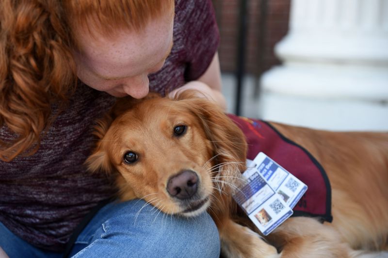 A golden retriever is lying down on a woman's knee cuddling her.