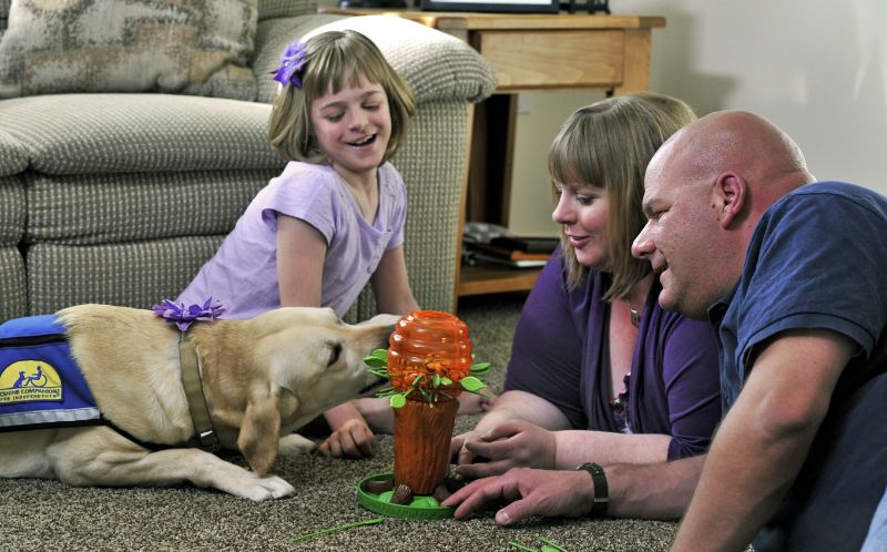 A family is gathered on the floor with a game in front of them. A yellow labrador retriever in assistance dog vest is carefully picking up a piece of the game in its mouth, as if it too were playing. 