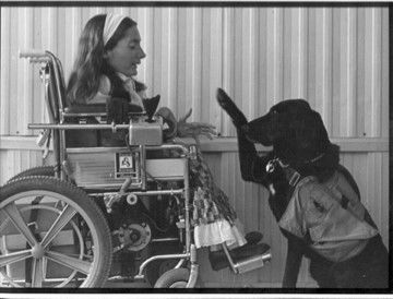 A young woman in a wheel chair is facing a black labrador retriever who is sitting in front of her. The dog is wearing a vest and has its front right paw extended towards the woman.