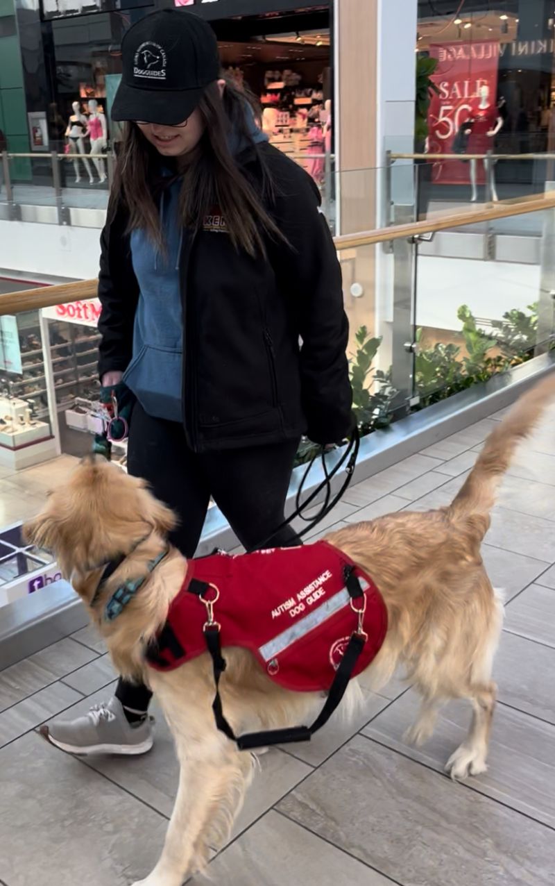 Kaylee is walking through an indoor mall with a an autism assistance dog in training