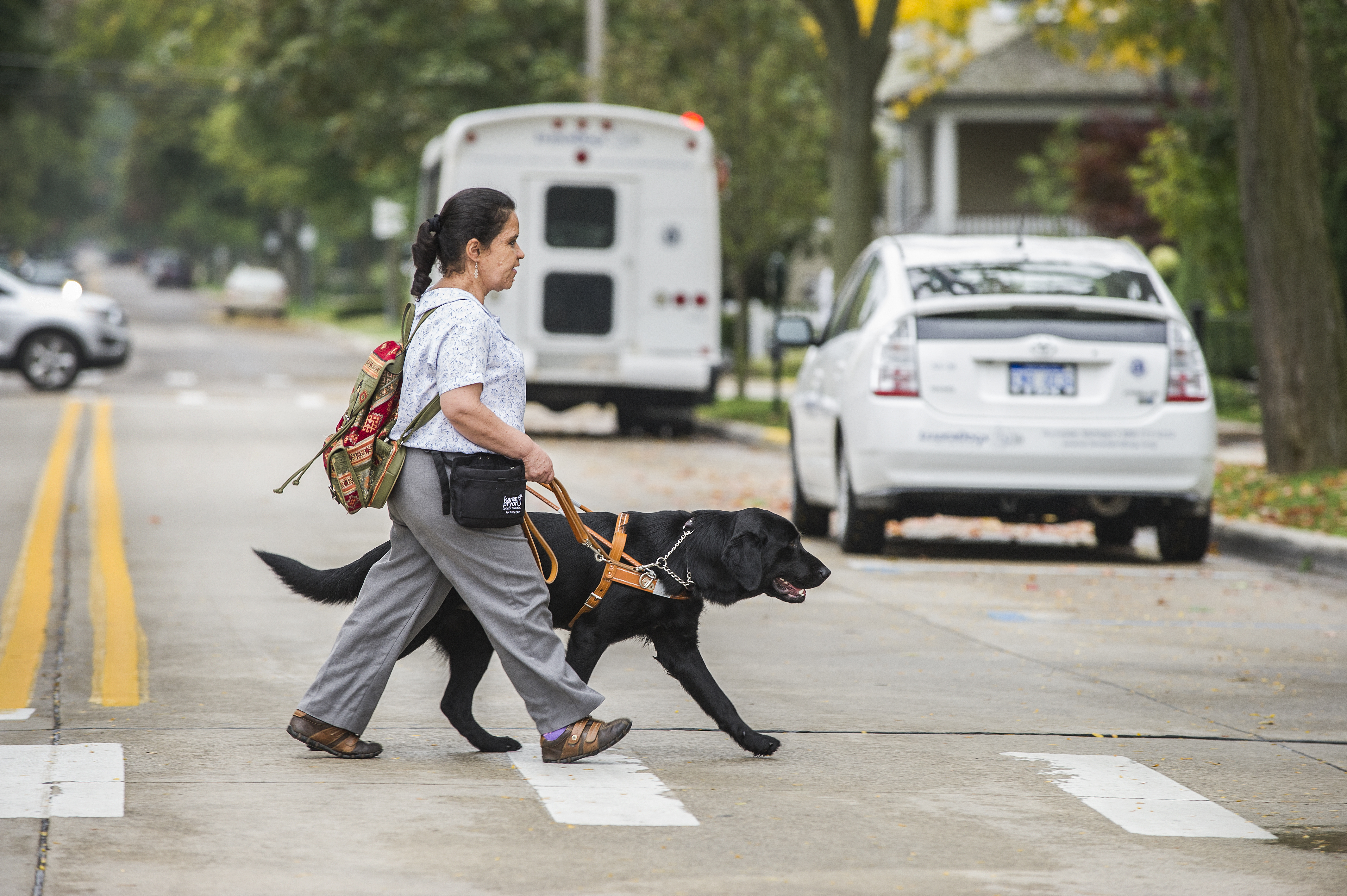 A woman using a black guide dog in harness is crossing the street in a crosswalk. 