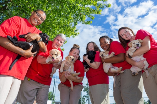 6 people are all standing in a U shape smiling down at the camera. Each person is holding a puppy in their arms. 